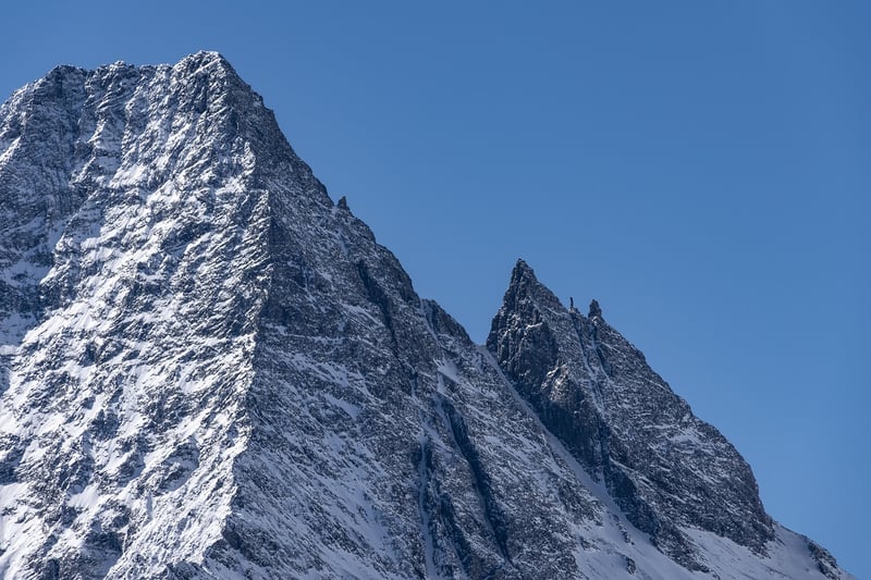 Mountain Majesty